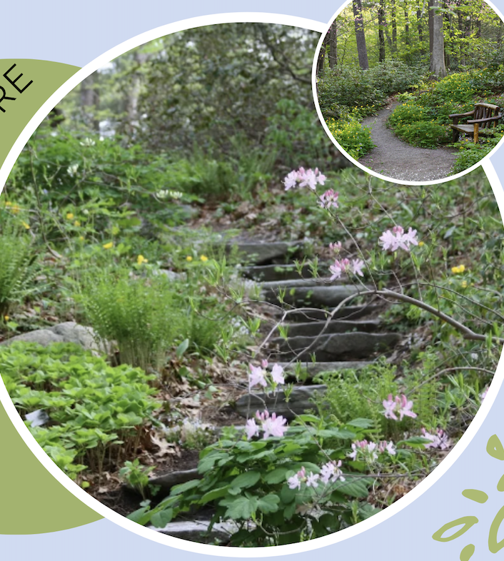 The featured image for Common Ground Walk.